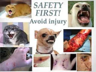 SAFETY
 FIRST!
Avoid injury
 
