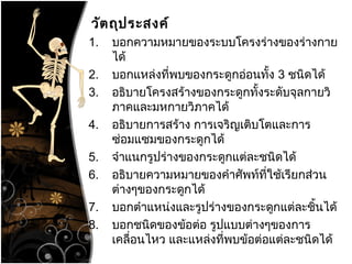 วัตถุประสงค์
1. บอกความหมายของระบบโครงร่างของร่างกาย
ได้
2. บอกแหล่งที่พบของกระดูกอ่อนทั้ง 3 ชนิดได้
3. อธิบายโครงสร้างของกระดูกทั้งระดับจุลกายวิ
ภาคและมหกายวิภาคได้
4. อธิบายการสร้าง การเจริญเติบโตและการ
ซ่อมแซมของกระดูกได้
5. จำาแนกรูปร่างของกระดูกแต่ละชนิดได้
6. อธิบายความหมายของคำาศัพท์ที่ใช้เรียกส่วน
ต่างๆของกระดูกได้
7. บอกตำาแหน่งและรูปร่างของกระดูกแต่ละชิ้นได้
8. บอกชนิดของข้อต่อ รูปแบบต่างๆของการ
เคลื่อนไหว และแหล่งที่พบข้อต่อแต่ละชนิดได้
 