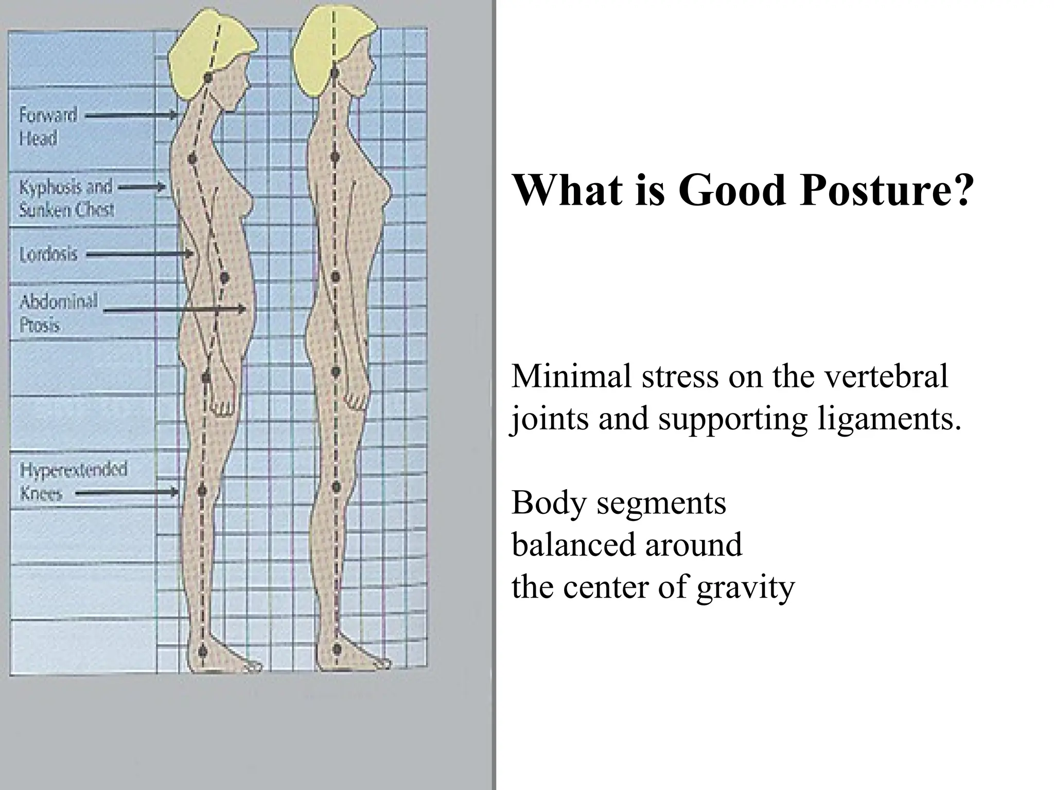 Minimal stress on the vertebral
joints and supporting ligaments.
Body segments
balanced around
the center of gravity
What is Good Posture?
 