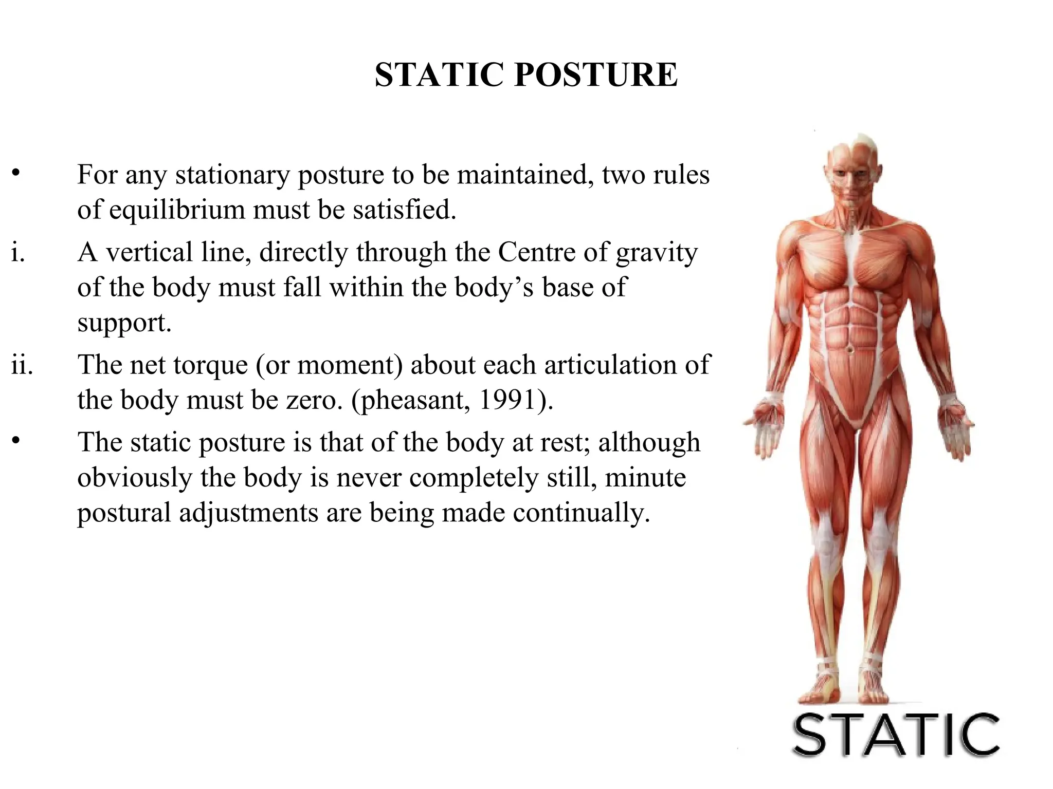 STATIC POSTURE
• For any stationary posture to be maintained, two rules
of equilibrium must be satisfied.
i. A vertical line, directly through the Centre of gravity
of the body must fall within the body’s base of
support.
ii. The net torque (or moment) about each articulation of
the body must be zero. (pheasant, 1991).
• The static posture is that of the body at rest; although
obviously the body is never completely still, minute
postural adjustments are being made continually.
 
