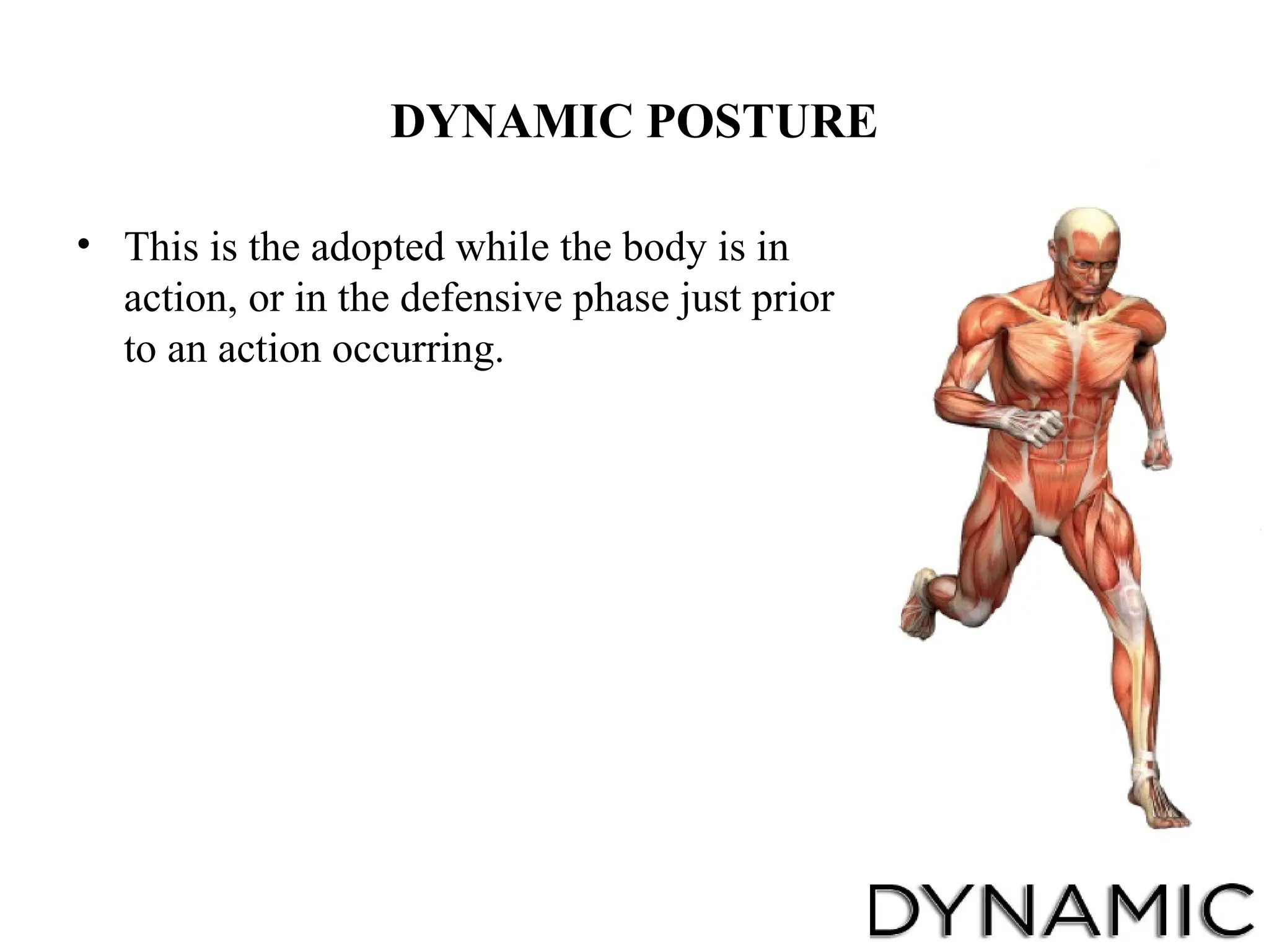 DYNAMIC POSTURE
• This is the adopted while the body is in
action, or in the defensive phase just prior
to an action occurring.
 