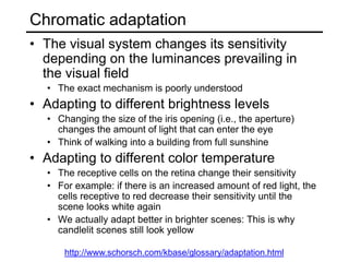 Color Adaption Examples Lec04 color | PDF