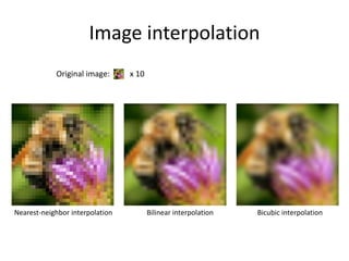 Image interpolation
Nearest-neighbor interpolation Bilinear interpolation Bicubic interpolation
Original image: x 10
 