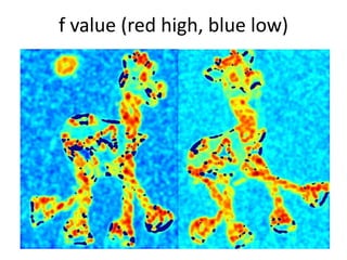 f value (red high, blue low)
 