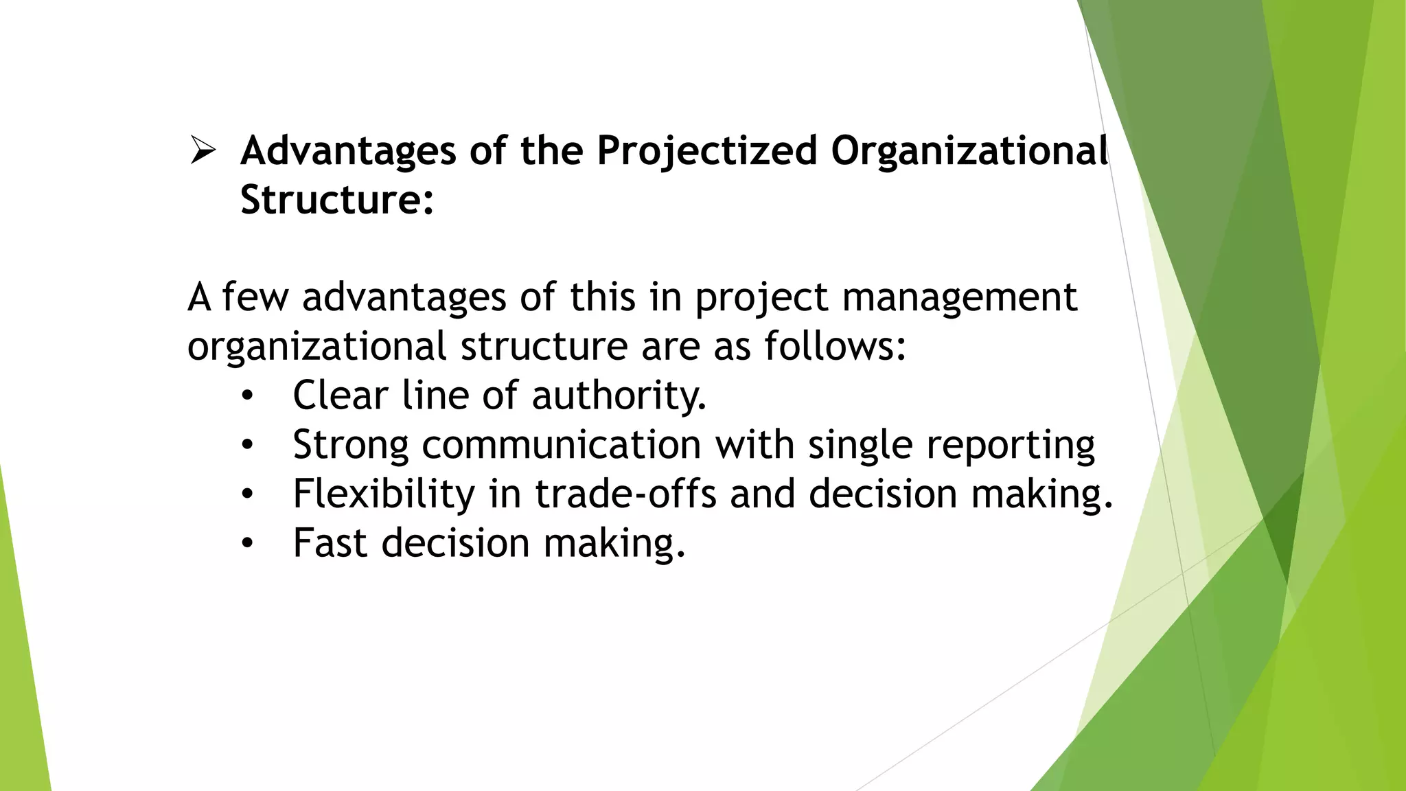 Lec 04 project organization | PPTX
