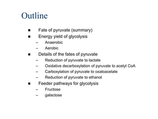 Outline
        Fate of pyruvate (summary)
        Energy yield of glycolysis
     –      Anaerobic
     –      Aerobic
        Details of the fates of pyruvate
     –      Reduction of pyruvate to lactate
     –      Oxidative decarboxylation of pyruvate to acetyl CoA
     –      Carboxylation of pyruvate to oxaloacetate
     –      Reduction of pyruvate to ethanol
        Feeder pathways for glycolysis
     –      Fructose
     –      galactose
 