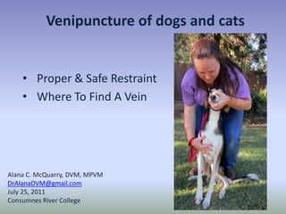 Venipuncture of dogs and cats


    • Proper & Safe Restraint
    • Where To Find A Vein




Alana C. McQuarry, DVM, MPVM
DrAlanaDVM@gmail.com
July 25, 2011
Consumnes River College
 