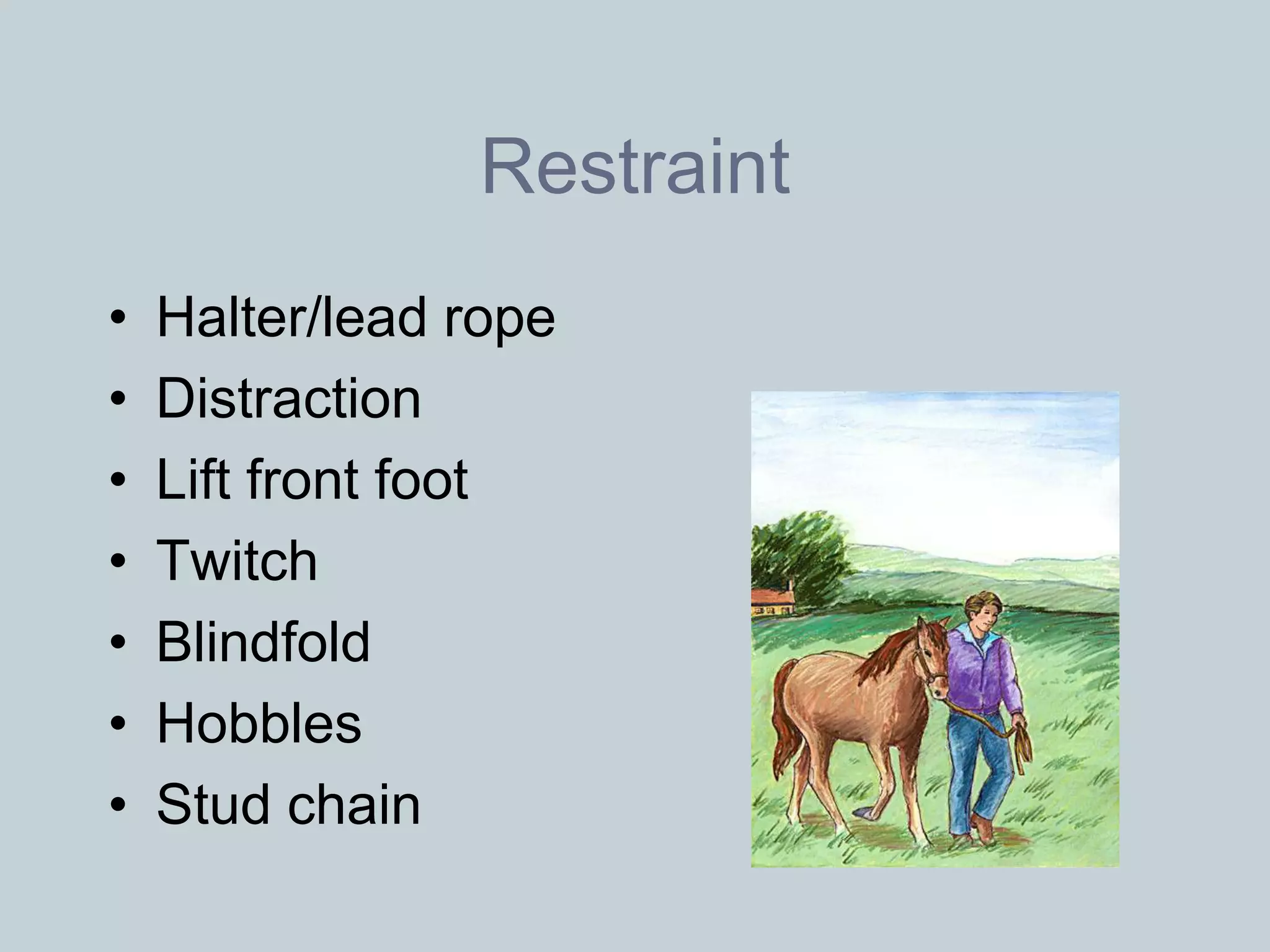 Restraint
•   Halter/lead rope
•   Distraction
•   Lift front foot
•   Twitch
•   Blindfold
•   Hobbles
•   Stud chain
 