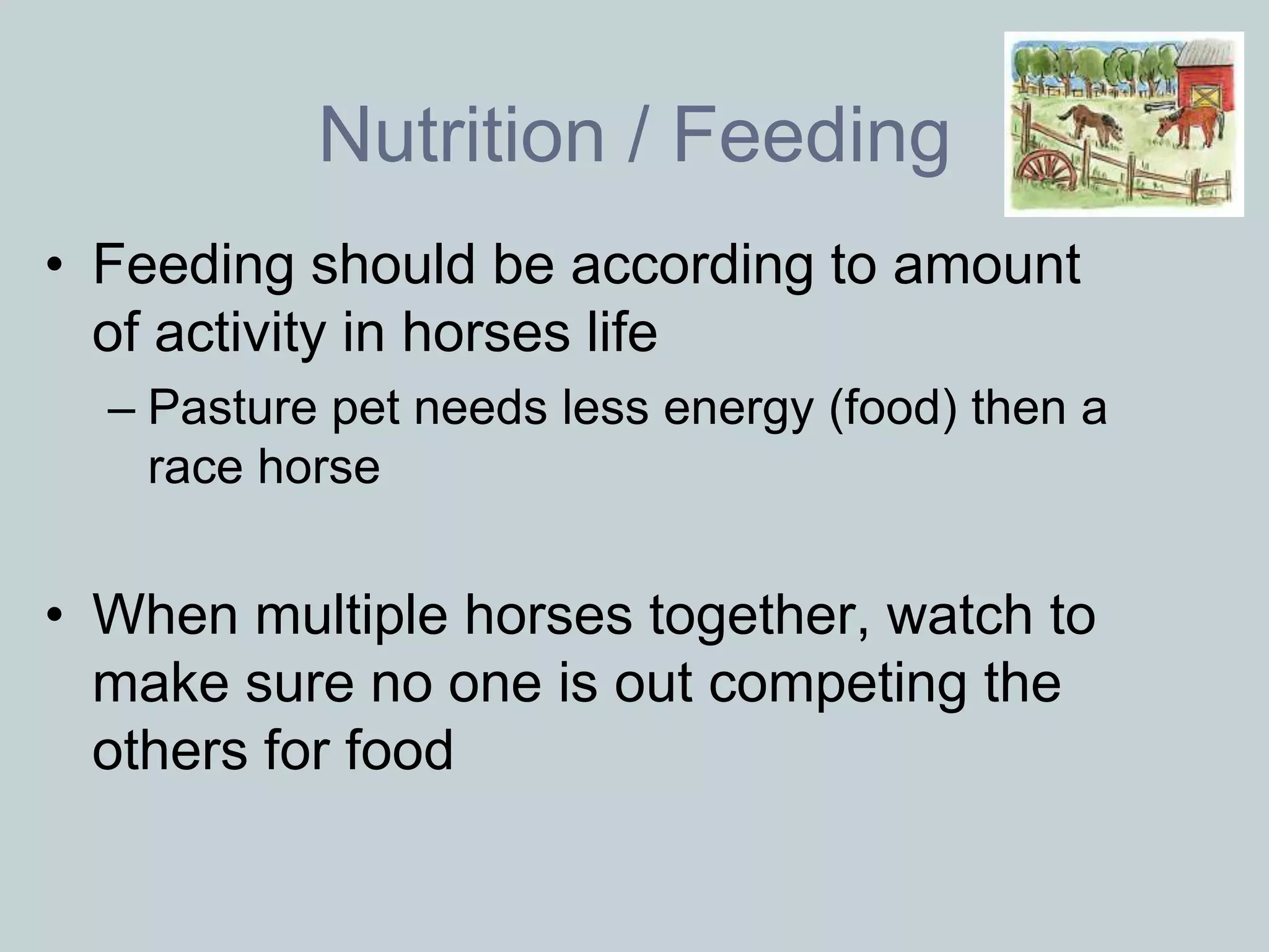 Nutrition / Feeding
• Feeding should be according to amount
  of activity in horses life
  – Pasture pet needs less energy (food) then a
    race horse


• When multiple horses together, watch to
  make sure no one is out competing the
  others for food
 