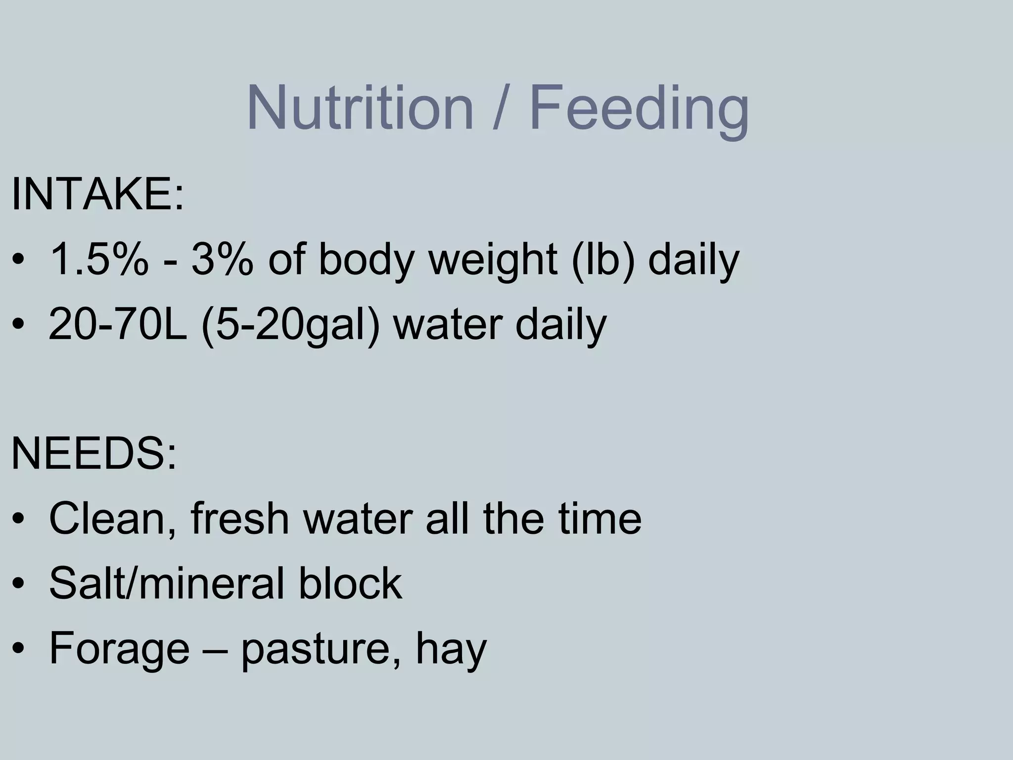 Nutrition / Feeding
INTAKE:
• 1.5% - 3% of body weight (lb) daily
• 20-70L (5-20gal) water daily

NEEDS:
• Clean, fresh water all the time
• Salt/mineral block
• Forage – pasture, hay
 