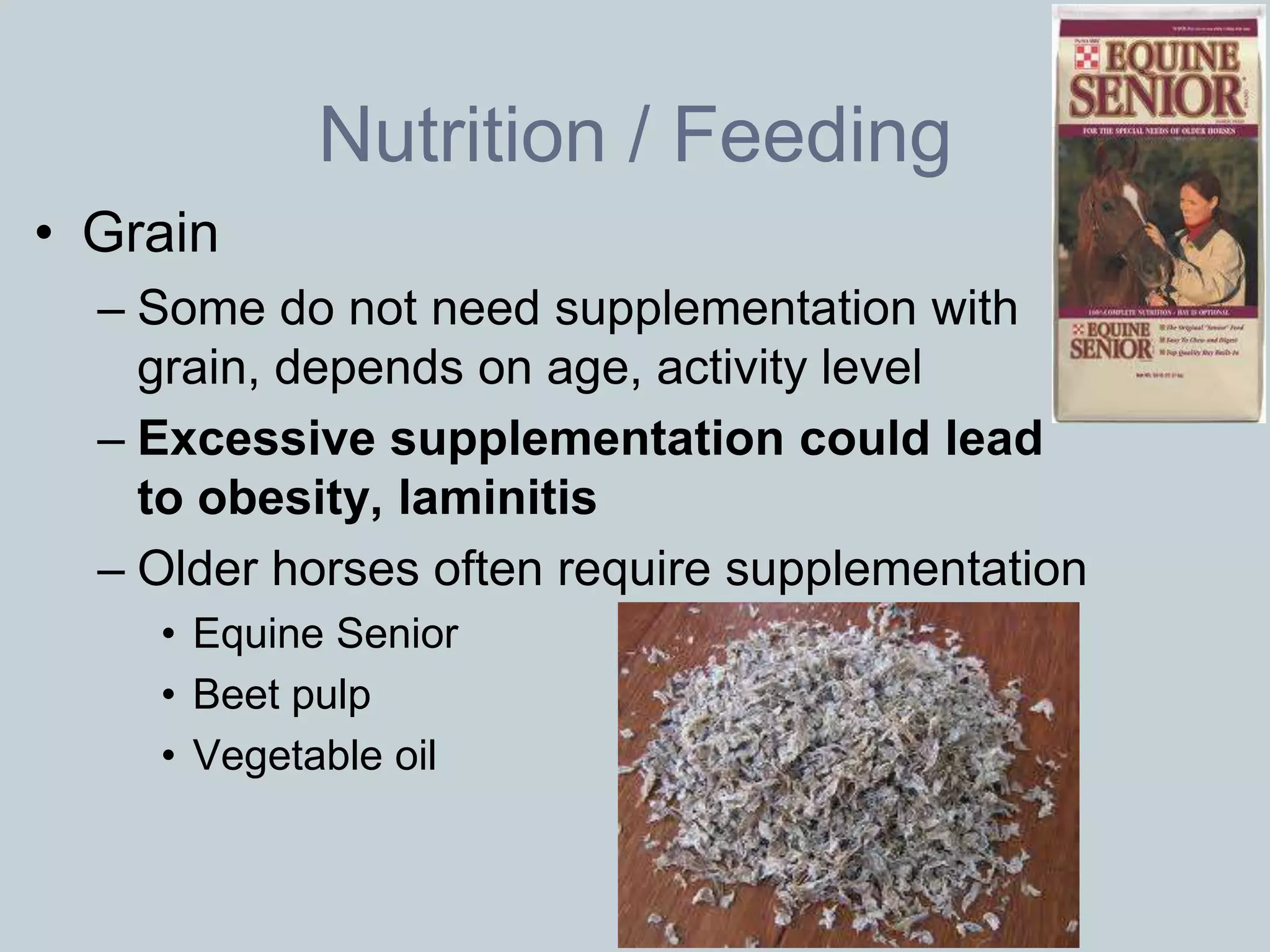 Nutrition / Feeding
• Grain
  – Some do not need supplementation with
    grain, depends on age, activity level
  – Excessive supplementation could lead
    to obesity, laminitis
  – Older horses often require supplementation
    • Equine Senior
    • Beet pulp
    • Vegetable oil
 