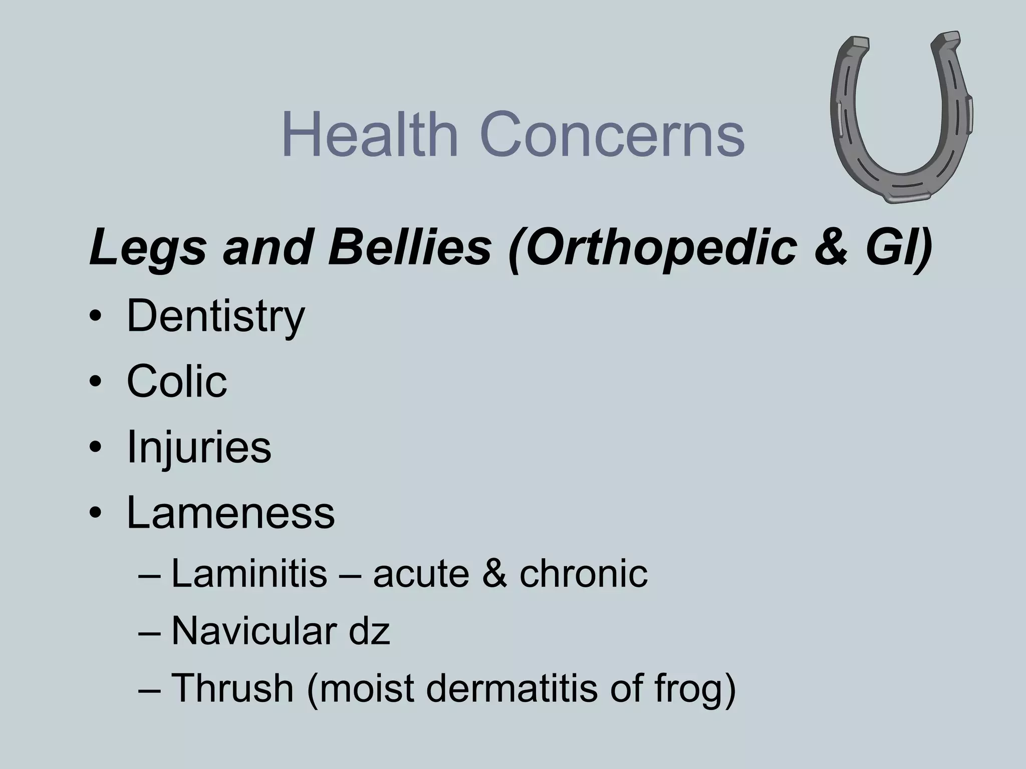 Health Concerns
Legs and Bellies (Orthopedic & GI)
•   Dentistry
•   Colic
•   Injuries
•   Lameness
    – Laminitis – acute & chronic
    – Navicular dz
    – Thrush (moist dermatitis of frog)
 