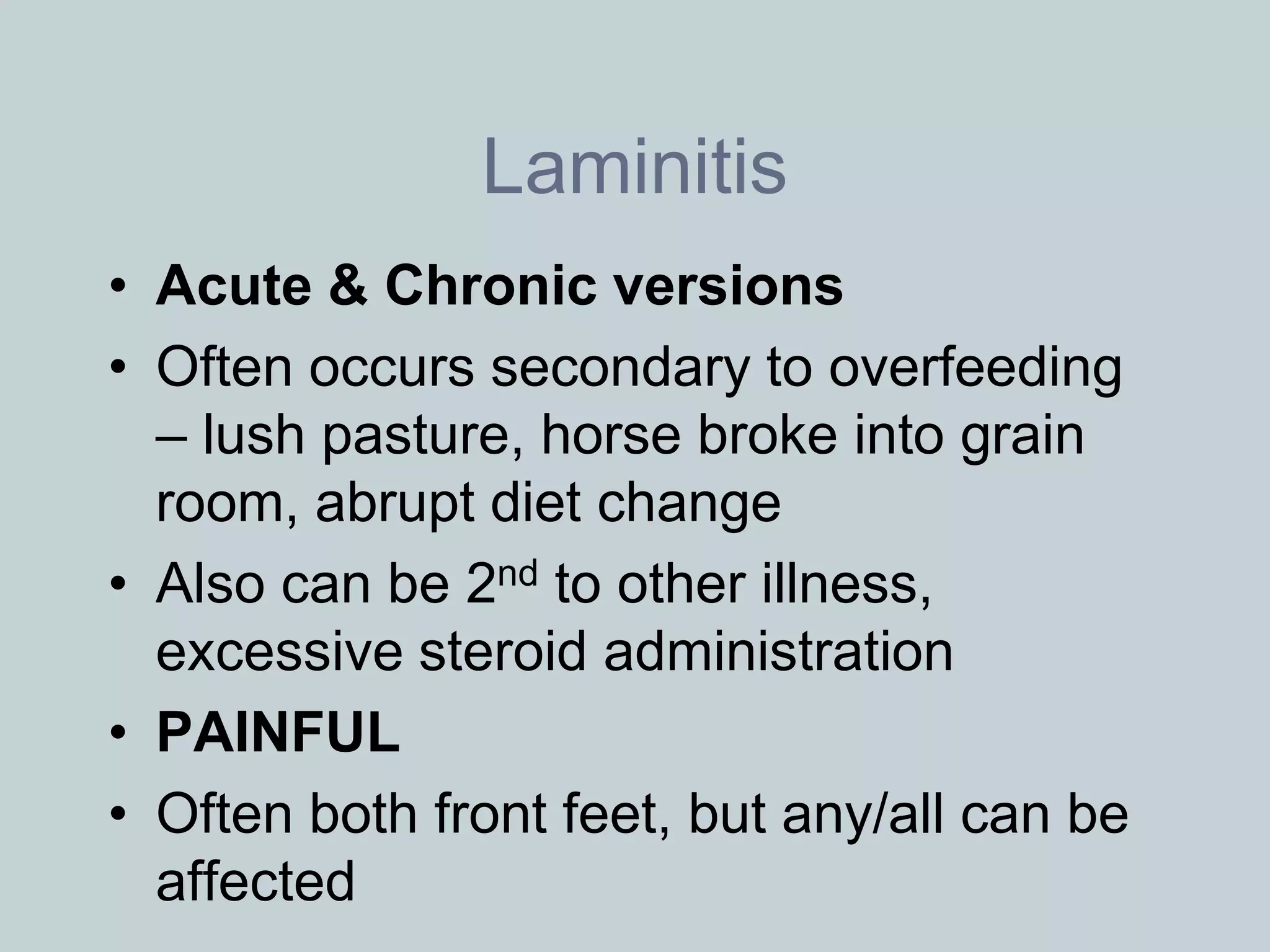Laminitis
• Acute & Chronic versions
• Often occurs secondary to overfeeding
  – lush pasture, horse broke into grain
  room, abrupt diet change
• Also can be 2nd to other illness,
  excessive steroid administration
• PAINFUL
• Often both front feet, but any/all can be
  affected
 