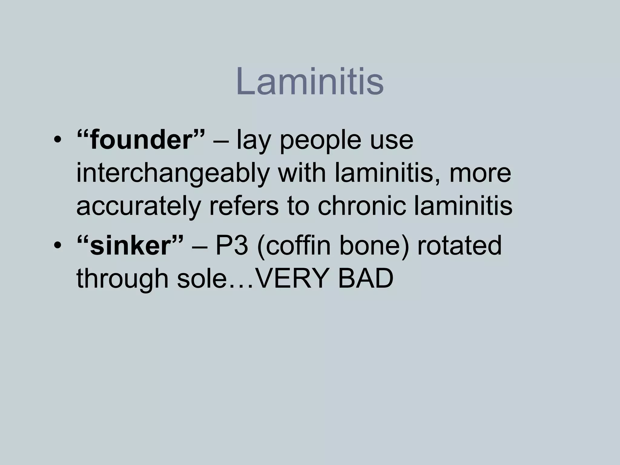 Laminitis
• “founder” – lay people use
  interchangeably with laminitis, more
  accurately refers to chronic laminitis
• “sinker” – P3 (coffin bone) rotated
  through sole…VERY BAD
 