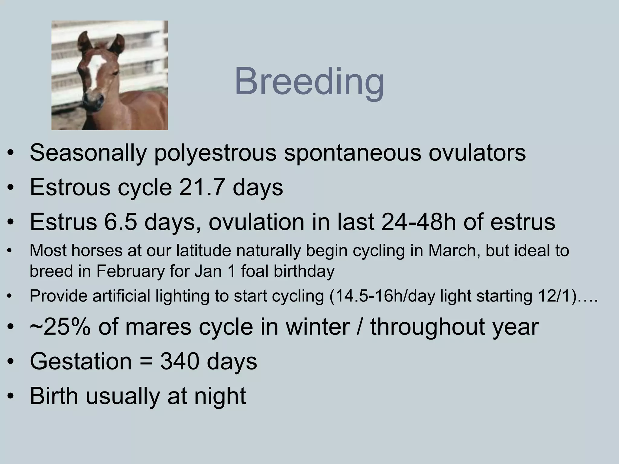Breeding
• Seasonally polyestrous spontaneous ovulators
• Estrous cycle 21.7 days
• Estrus 6.5 days, ovulation in last 24-48h of estrus
• Most horses at our latitude naturally begin cycling in March, but ideal to
  breed in February for Jan 1 foal birthday
• Provide artificial lighting to start cycling (14.5-16h/day light starting 12/1)….
• ~25% of mares cycle in winter / throughout year
• Gestation = 340 days
• Birth usually at night
 
