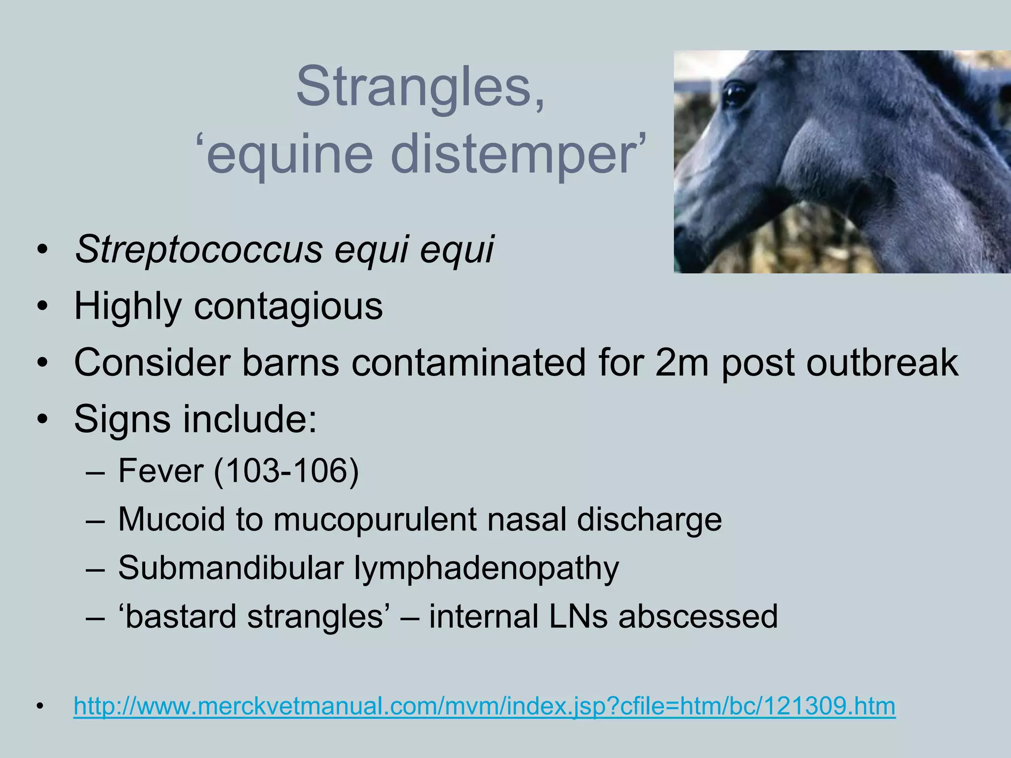 Strangles,
              ‘equine distemper’
•   Streptococcus equi equi
•   Highly contagious
•   Consider barns contaminated for 2m post outbreak
•   Signs include:
     –   Fever (103-106)
     –   Mucoid to mucopurulent nasal discharge
     –   Submandibular lymphadenopathy
     –   ‘bastard strangles’ – internal LNs abscessed

•   http://www.merckvetmanual.com/mvm/index.jsp?cfile=htm/bc/121309.htm
 