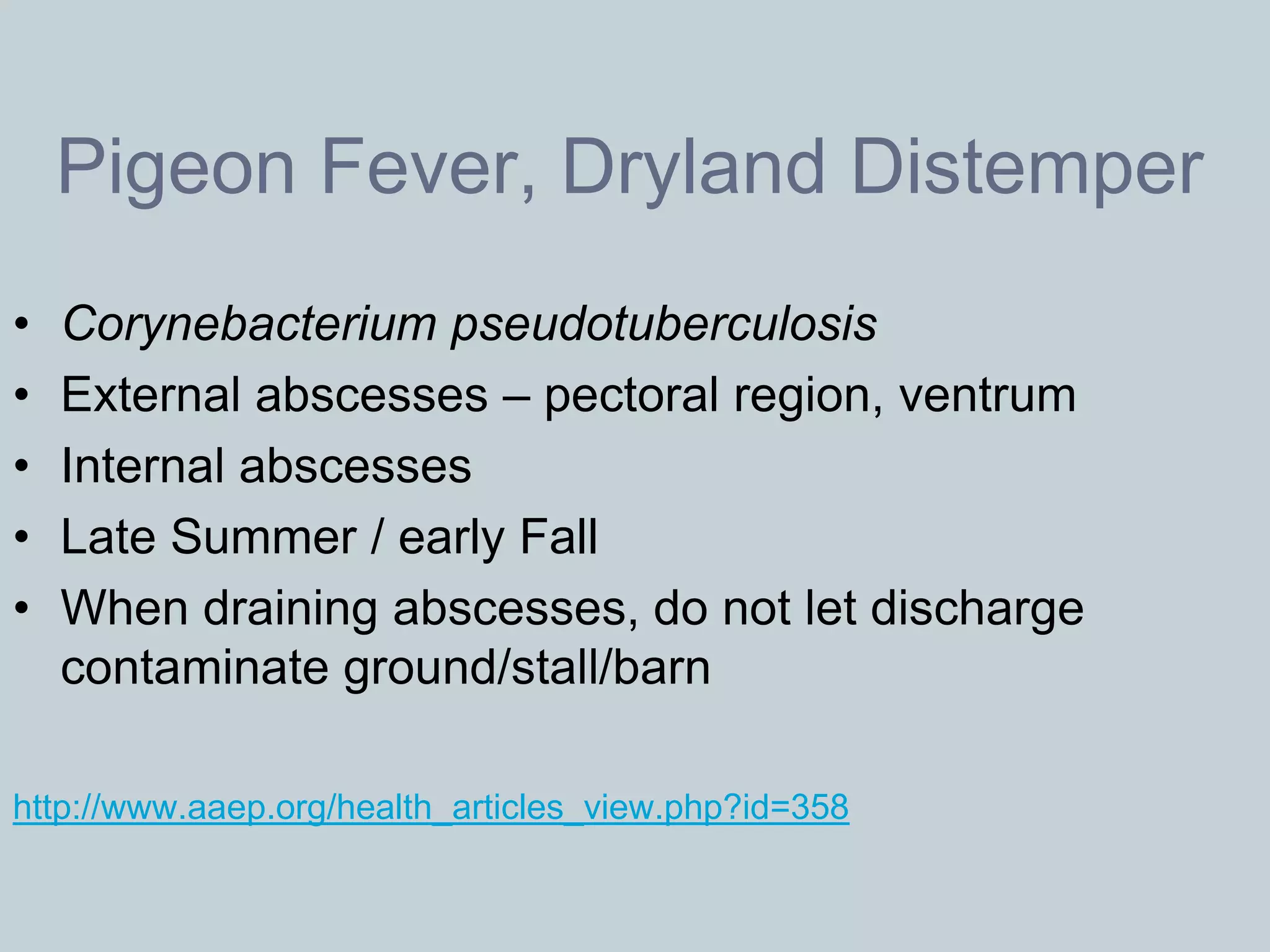 Pigeon Fever, Dryland Distemper
•   Corynebacterium pseudotuberculosis
•   External abscesses – pectoral region, ventrum
•   Internal abscesses
•   Late Summer / early Fall
•   When draining abscesses, do not let discharge
    contaminate ground/stall/barn

http://www.aaep.org/health_articles_view.php?id=358
 