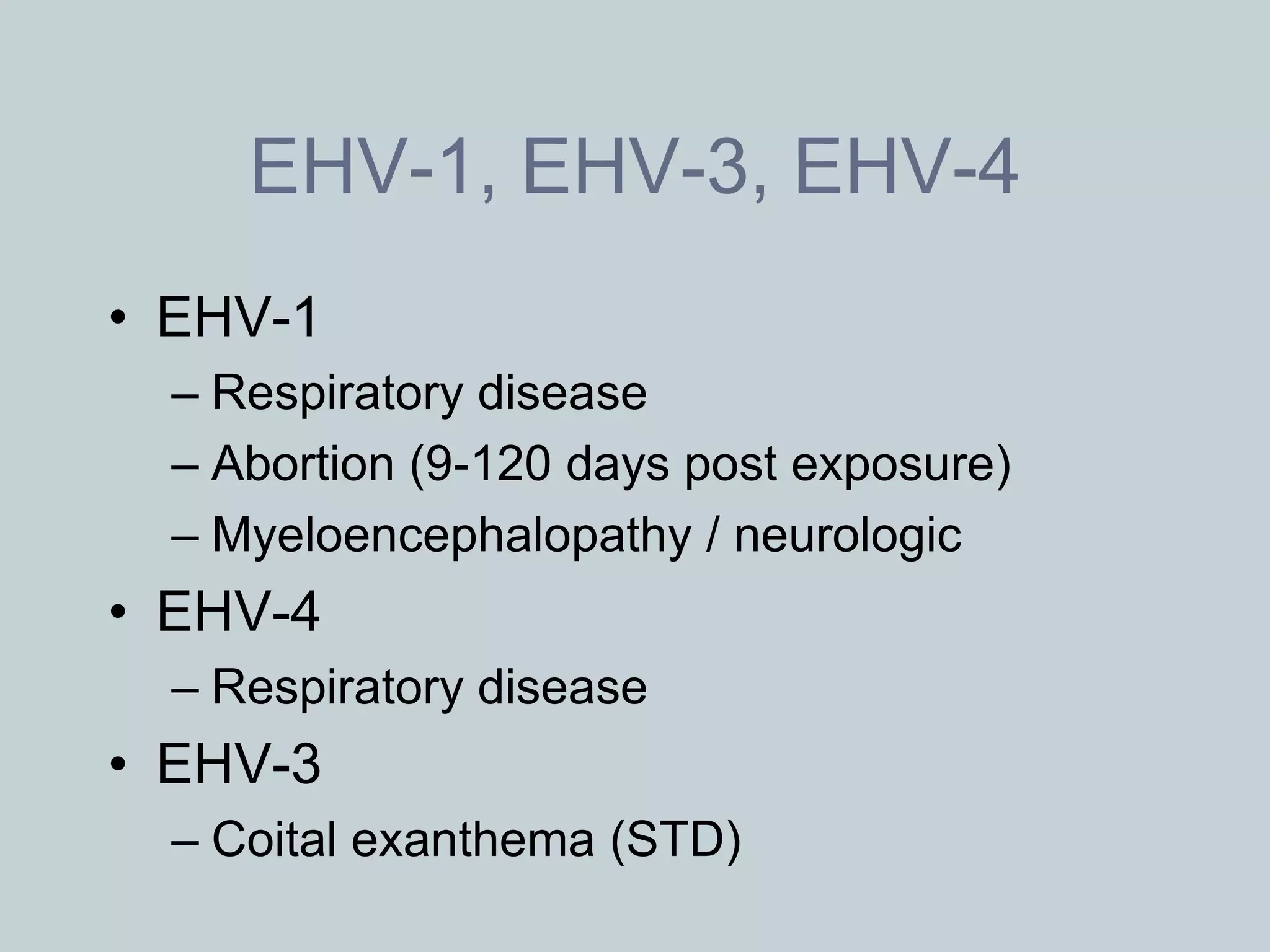 EHV-1, EHV-3, EHV-4
• EHV-1
  – Respiratory disease
  – Abortion (9-120 days post exposure)
  – Myeloencephalopathy / neurologic
• EHV-4
  – Respiratory disease
• EHV-3
  – Coital exanthema (STD)
 