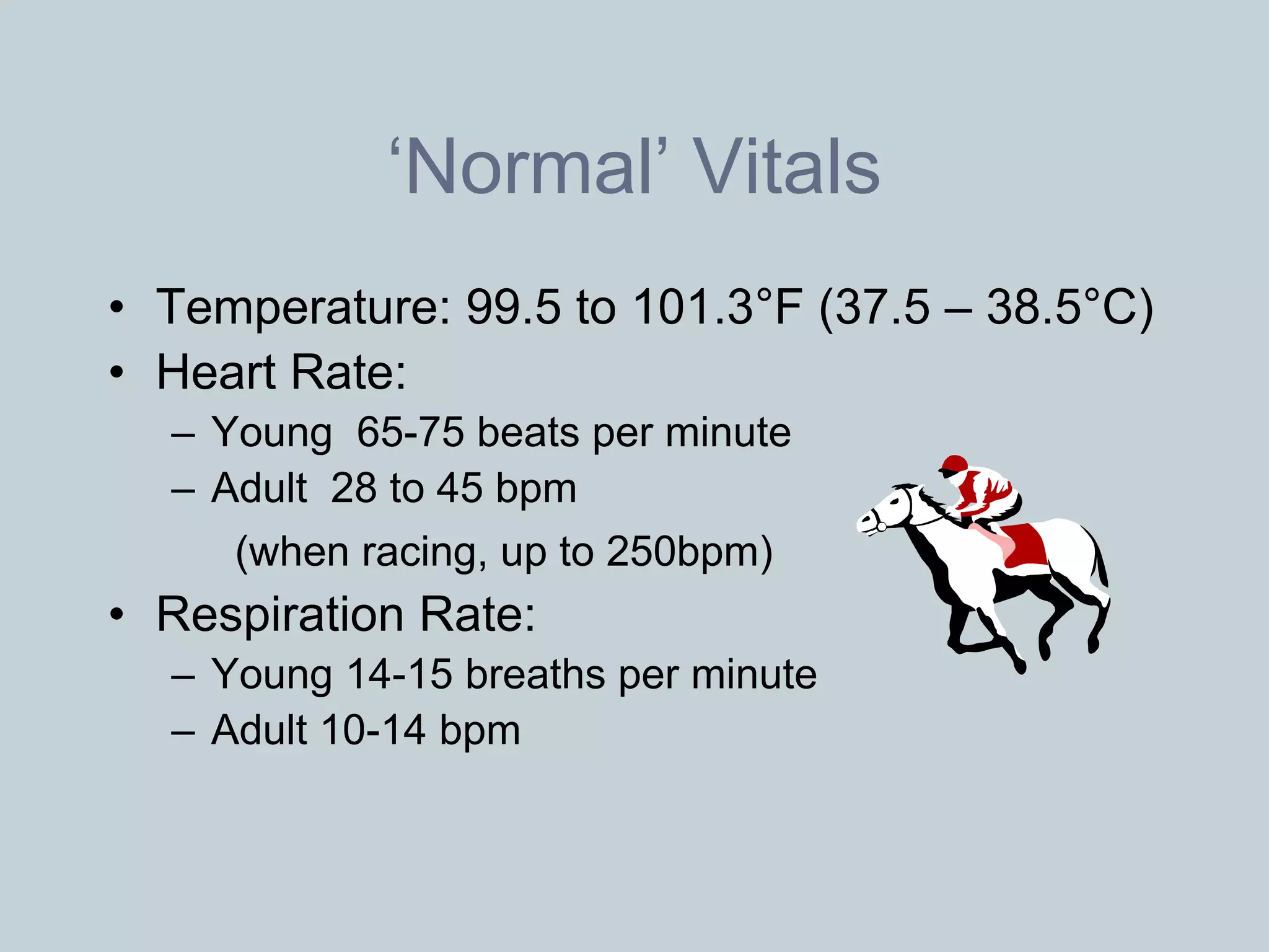 ‘Normal’ Vitals
• Temperature: 99.5 to 101.3°F (37.5 – 38.5°C)
• Heart Rate:
  – Young 65-75 beats per minute
  – Adult 28 to 45 bpm
     (when racing, up to 250bpm)
• Respiration Rate:
  – Young 14-15 breaths per minute
  – Adult 10-14 bpm
 