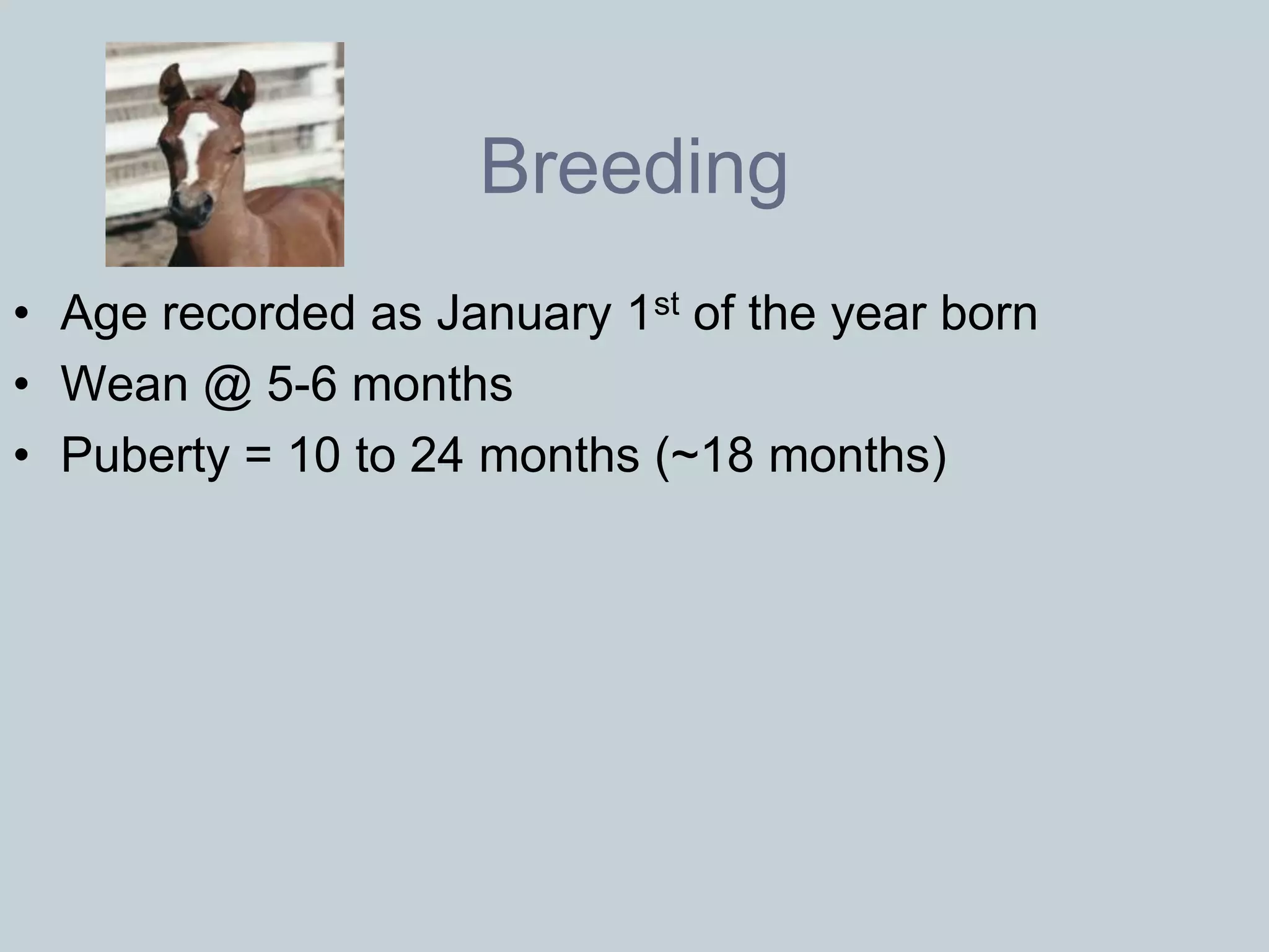 Breeding
• Age recorded as January 1st of the year born
• Wean @ 5-6 months
• Puberty = 10 to 24 months (~18 months)
 