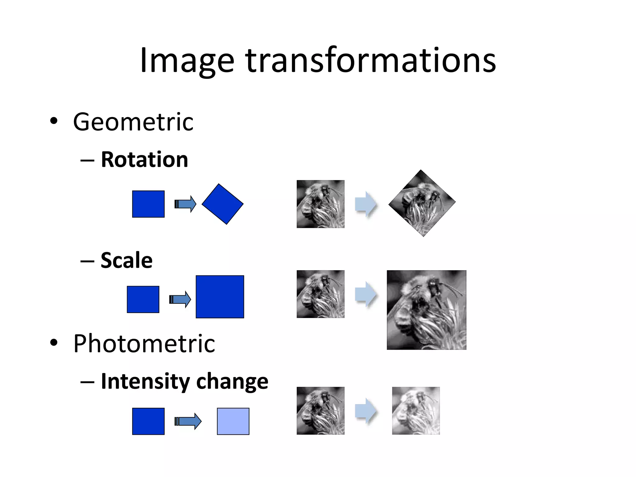 Image transformations
• Geometric
– Rotation
– Scale
• Photometric
– Intensity change
 