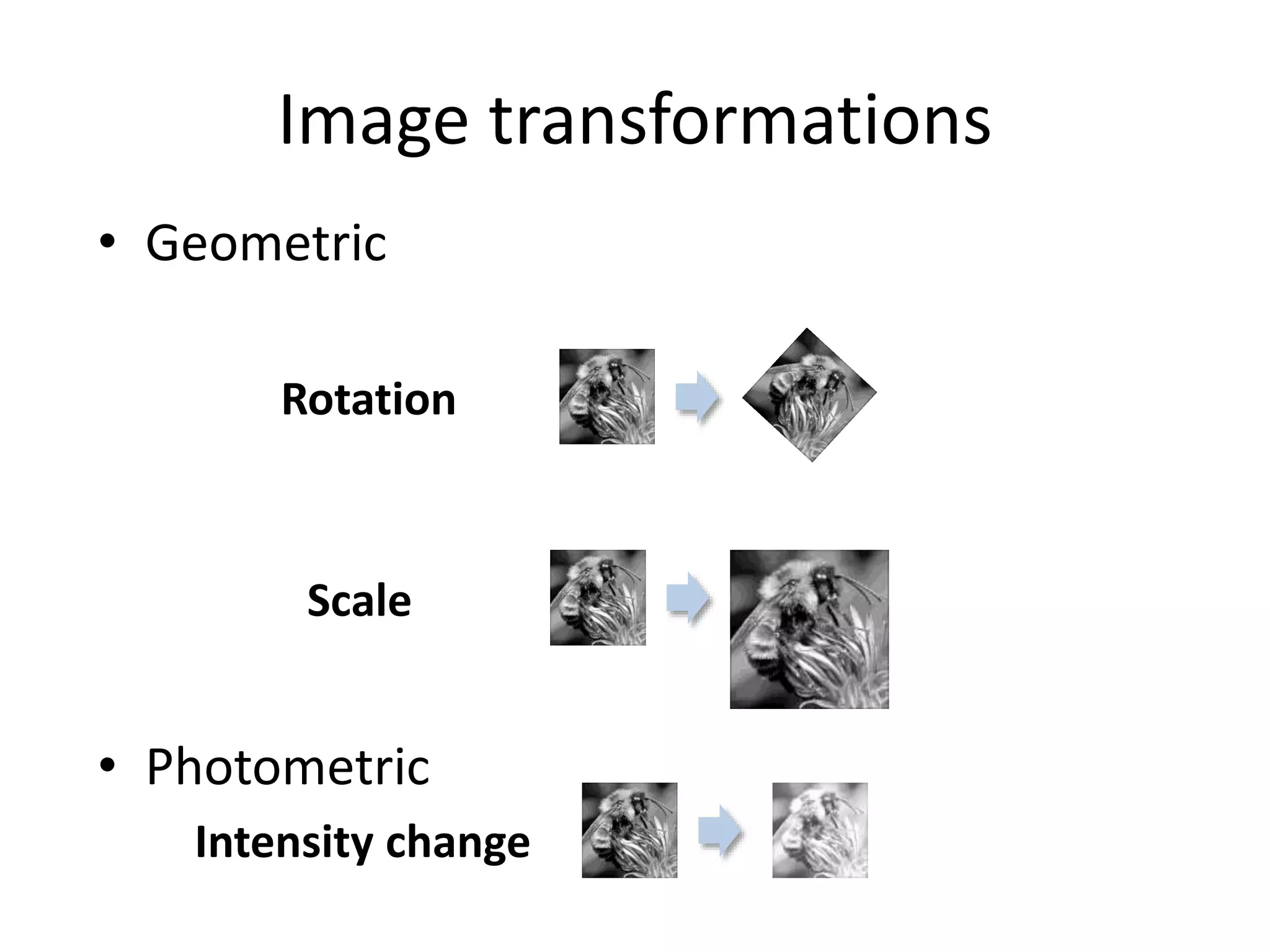 Image transformations
• Geometric
Rotation
Scale
• Photometric
Intensity change
 