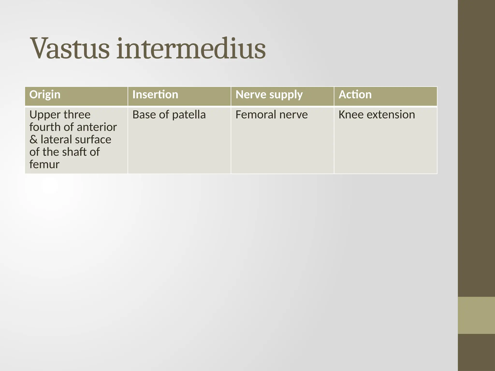 Vastus intermedius
Origin Insertion Nerve supply Action
Upper three
fourth of anterior
& lateral surface
of the shaft of
femur
Base of patella Femoral nerve Knee extension
 