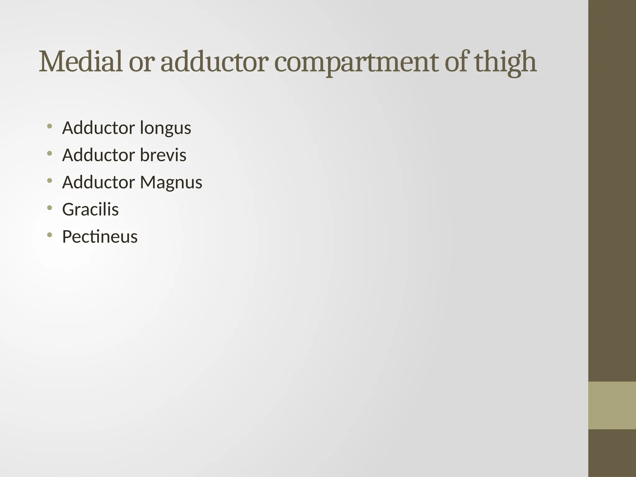 Medial or adductor compartment of thigh
• Adductor longus
• Adductor brevis
• Adductor Magnus
• Gracilis
• Pectineus
 