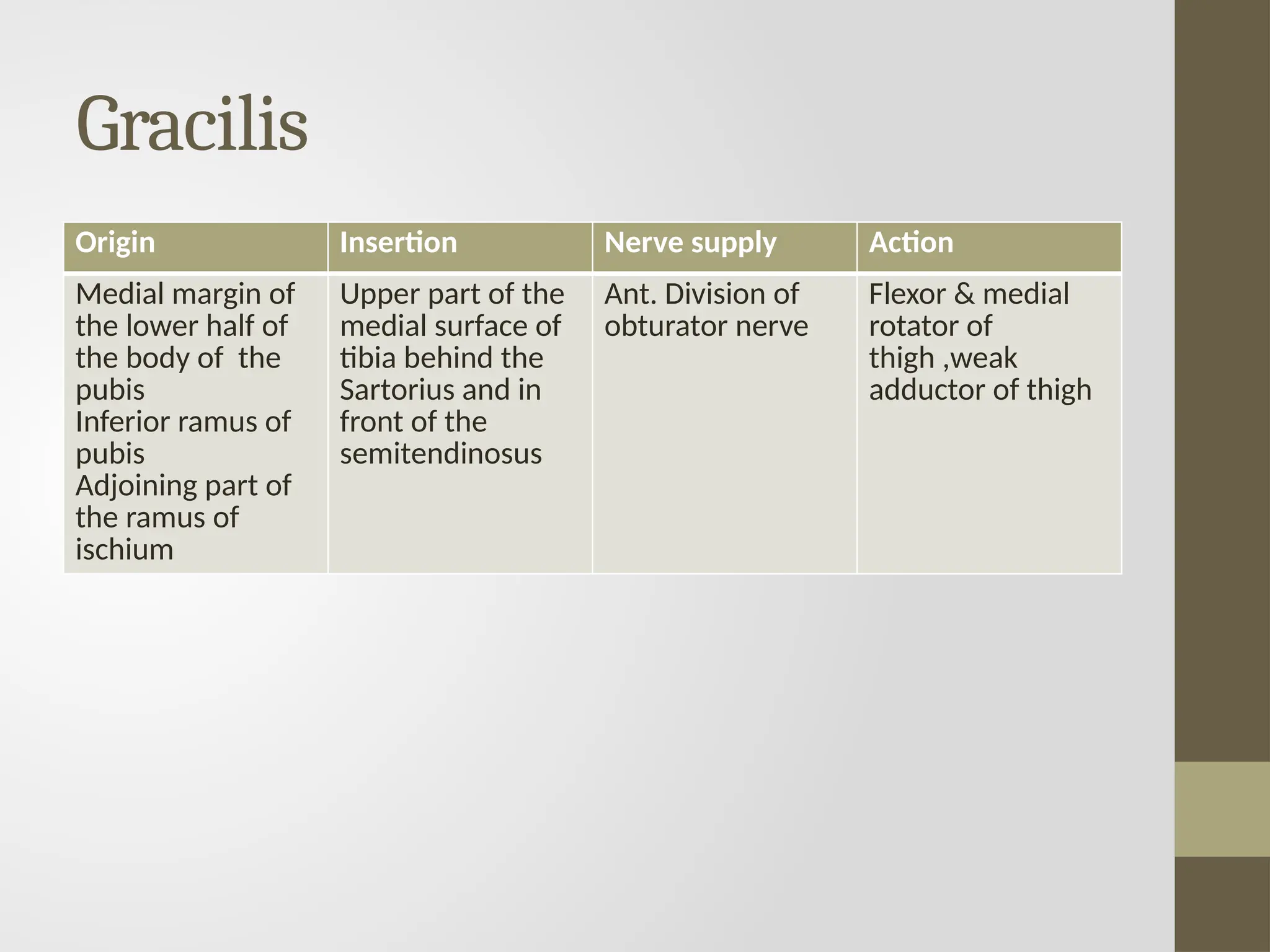 Gracilis
Origin Insertion Nerve supply Action
Medial margin of
the lower half of
the body of the
pubis
Inferior ramus of
pubis
Adjoining part of
the ramus of
ischium
Upper part of the
medial surface of
tibia behind the
Sartorius and in
front of the
semitendinosus
Ant. Division of
obturator nerve
Flexor & medial
rotator of
thigh ,weak
adductor of thigh
 