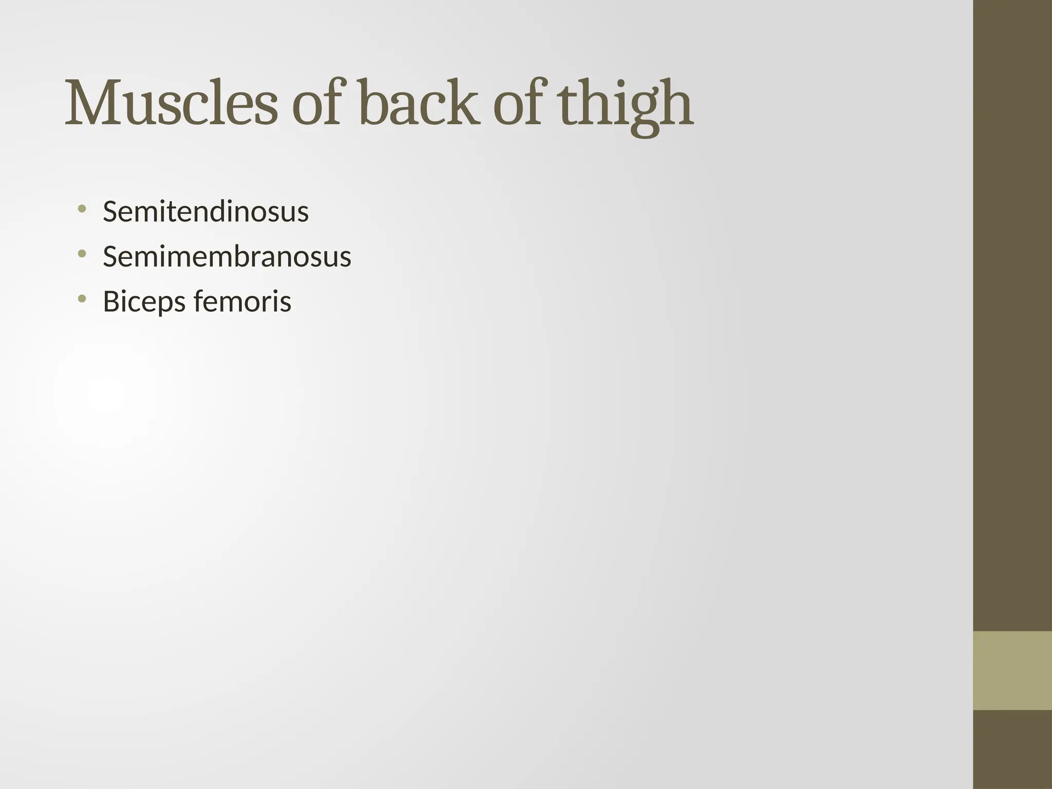 Muscles of back of thigh
• Semitendinosus
• Semimembranosus
• Biceps femoris
 