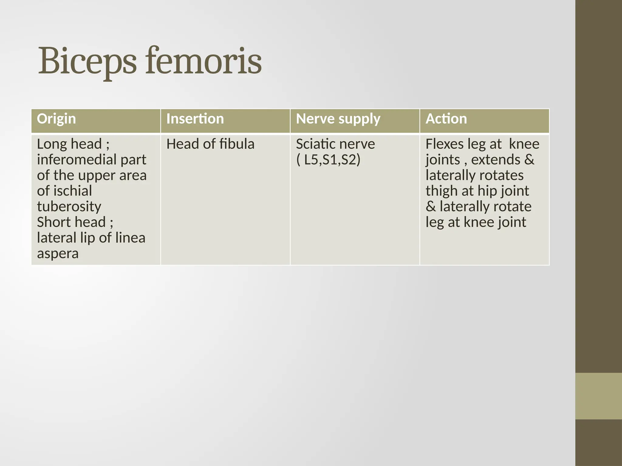 Biceps femoris
Origin Insertion Nerve supply Action
Long head ;
inferomedial part
of the upper area
of ischial
tuberosity
Short head ;
lateral lip of linea
aspera
Head of fibula Sciatic nerve
( L5,S1,S2)
Flexes leg at knee
joints , extends &
laterally rotates
thigh at hip joint
& laterally rotate
leg at knee joint
 