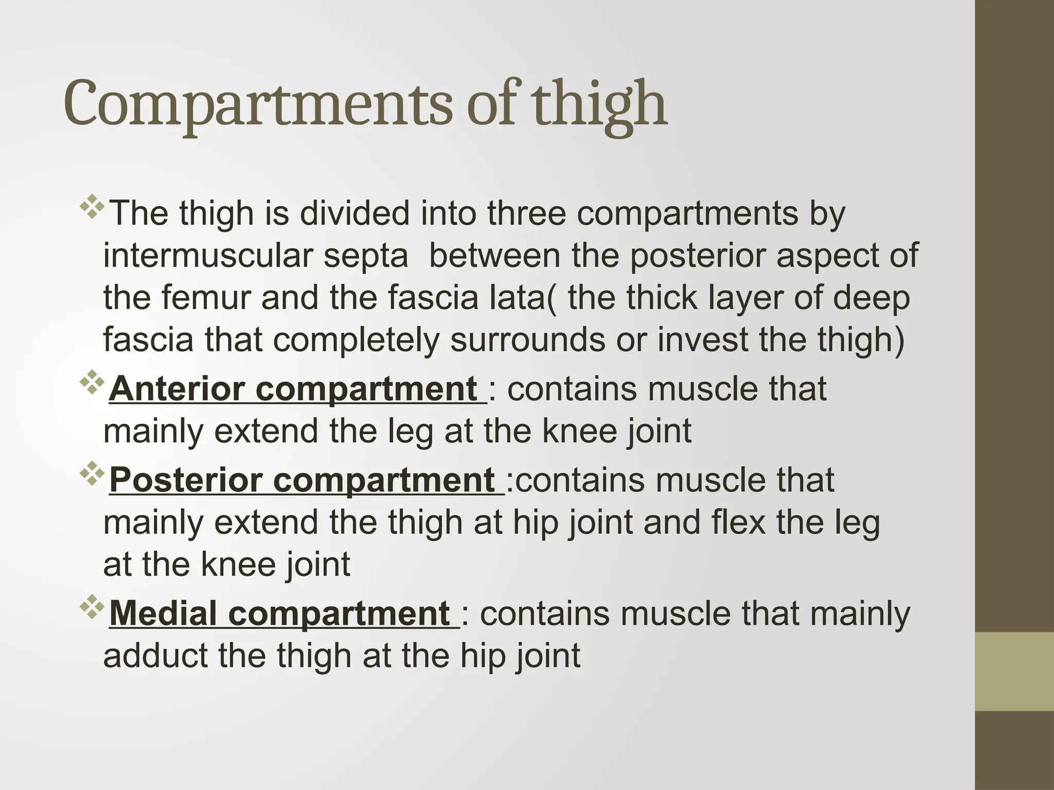 Compartments of thigh
The thigh is divided into three compartments by
intermuscular septa between the posterior aspect of
the femur and the fascia lata( the thick layer of deep
fascia that completely surrounds or invest the thigh)
Anterior compartment : contains muscle that
mainly extend the leg at the knee joint
Posterior compartment :contains muscle that
mainly extend the thigh at hip joint and flex the leg
at the knee joint
Medial compartment : contains muscle that mainly
adduct the thigh at the hip joint
 