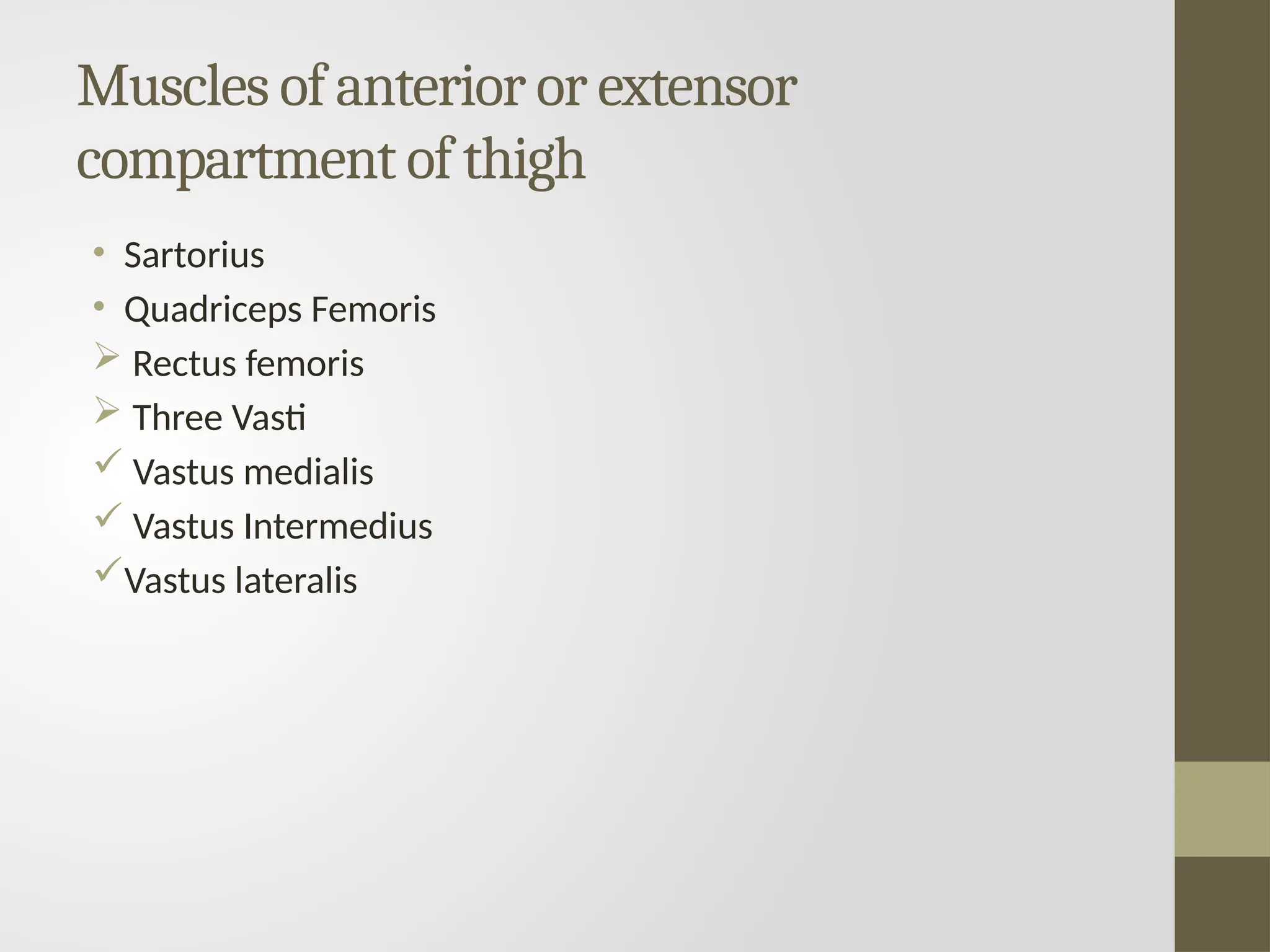 Muscles of anterior or extensor
compartment of thigh
• Sartorius
• Quadriceps Femoris
 Rectus femoris
 Three Vasti
 Vastus medialis
 Vastus Intermedius
Vastus lateralis
 