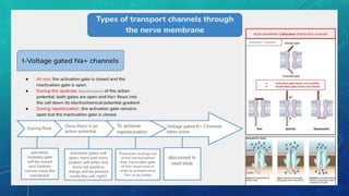 lec 05 PROPERTIES OF NEURON ppt presentation by Dr nazneen | PDF