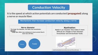 lec 05 PROPERTIES OF NEURON ppt presentation by Dr nazneen | PDF