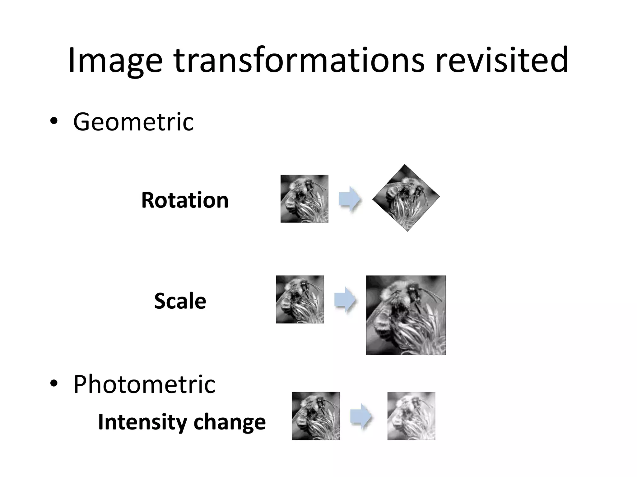 Image transformations revisited
• Geometric
Rotation
Scale
• Photometric
Intensity change
 