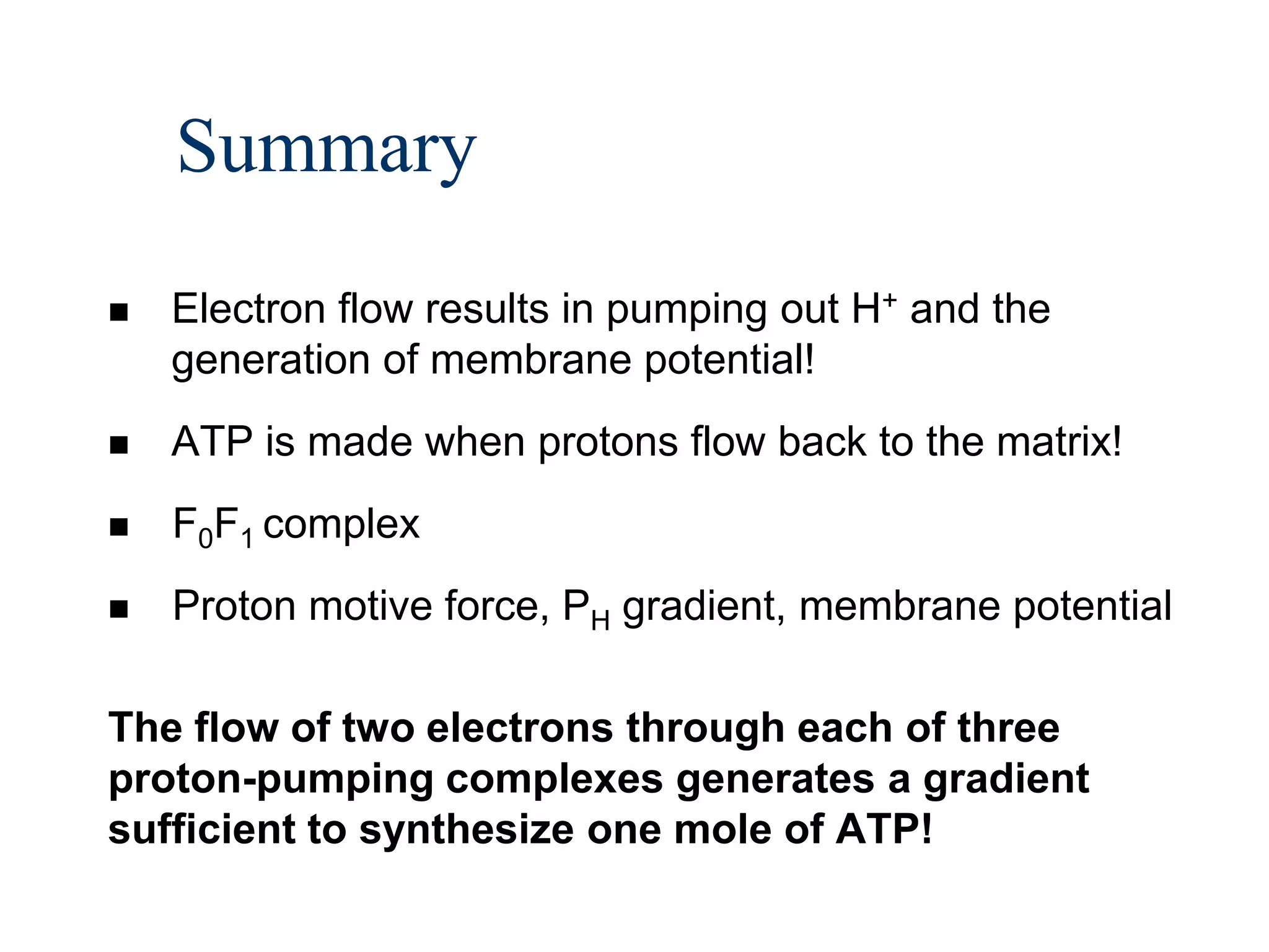 Summary
   Electron flow results in pumping out H+ and the
    generation of membrane potential!
   ATP is made when protons flow back to the matrix!
   F0F1 complex
   Proton motive force, PH gradient, membrane potential

The flow of two electrons through each of three
proton-pumping complexes generates a gradient
sufficient to synthesize one mole of ATP!
 