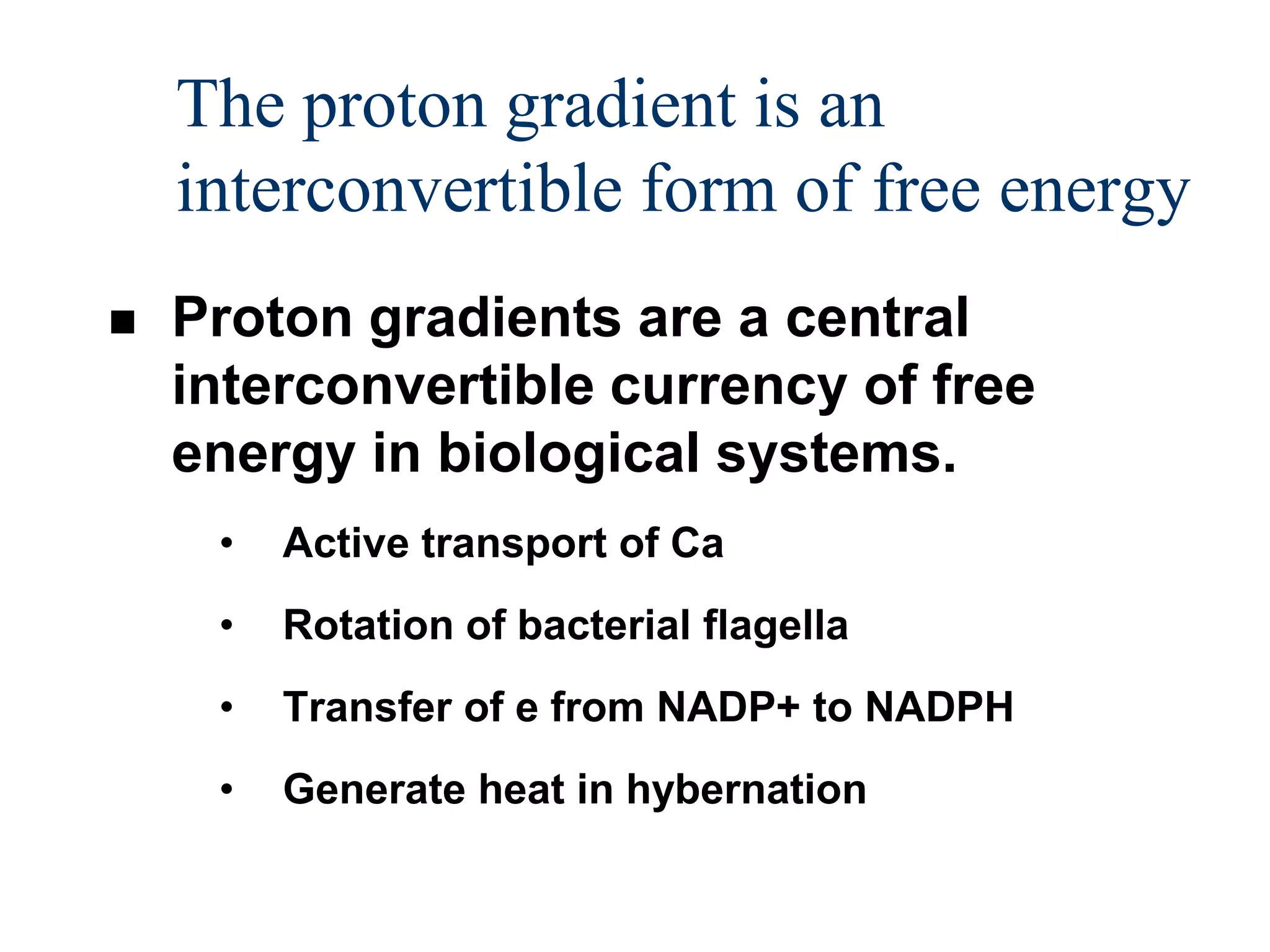 The proton gradient is an
    interconvertible form of free energy
   Proton gradients are a central
    interconvertible currency of free
    energy in biological systems.
     •   Active transport of Ca
     •   Rotation of bacterial flagella
     •   Transfer of e from NADP+ to NADPH
     •   Generate heat in hybernation
 