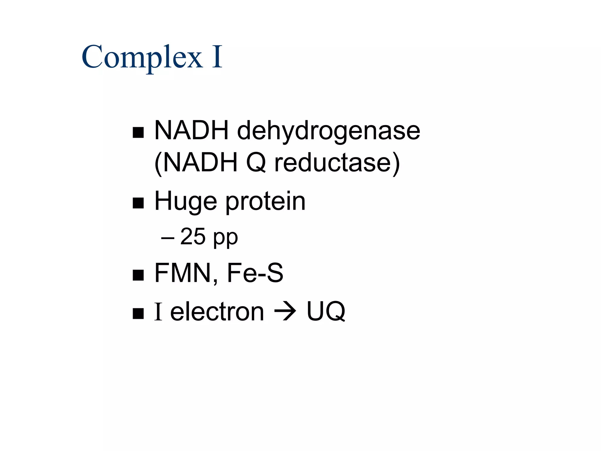 Complex I

      NADH dehydrogenase
       (NADH Q reductase)
      Huge protein
       – 25 pp
      FMN, Fe-S
      I electron  UQ
 