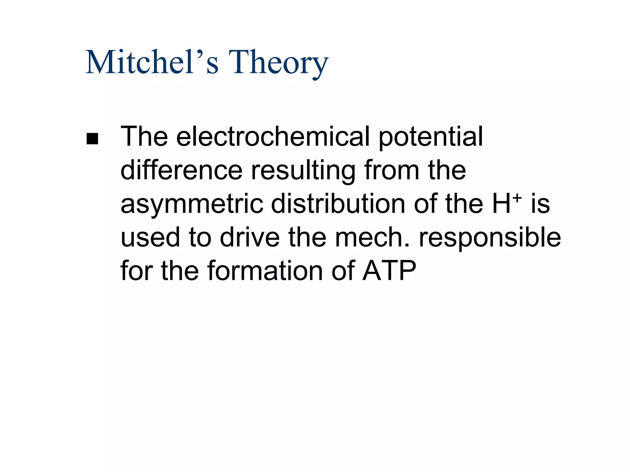 Mitchel’s Theory

   The electrochemical potential
    difference resulting from the
    asymmetric distribution of the H+ is
    used to drive the mech. responsible
    for the formation of ATP
 