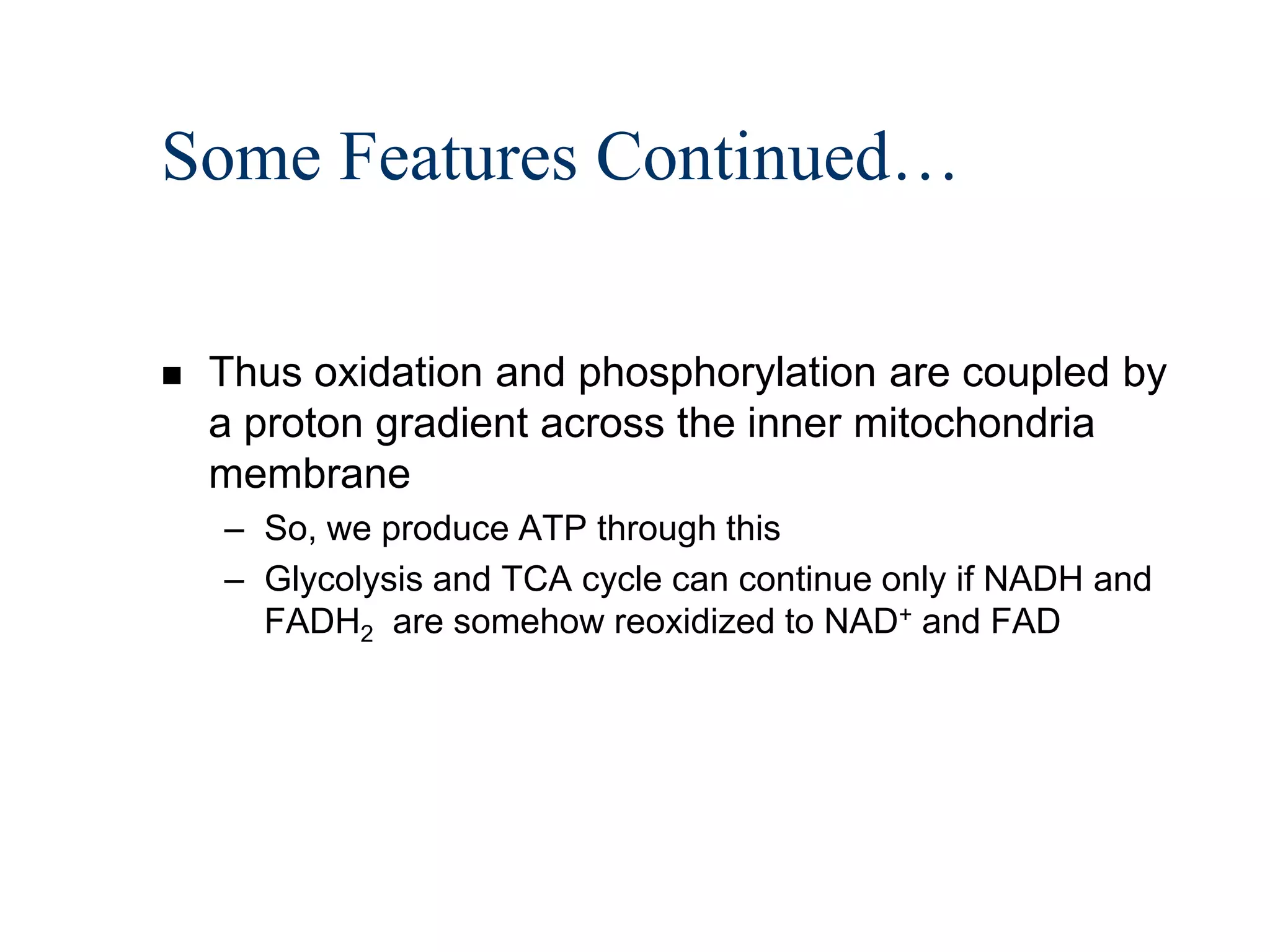 Some Features Continued…

   Thus oxidation and phosphorylation are coupled by
    a proton gradient across the inner mitochondria
    membrane
    – So, we produce ATP through this
    – Glycolysis and TCA cycle can continue only if NADH and
      FADH2 are somehow reoxidized to NAD+ and FAD
 