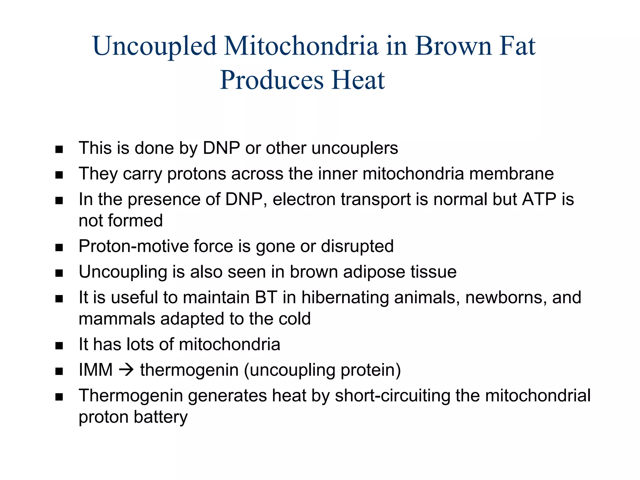Uncoupled Mitochondria in Brown Fat
              Produces Heat

   This is done by DNP or other uncouplers
   They carry protons across the inner mitochondria membrane
   In the presence of DNP, electron transport is normal but ATP is
    not formed
   Proton-motive force is gone or disrupted
   Uncoupling is also seen in brown adipose tissue
   It is useful to maintain BT in hibernating animals, newborns, and
    mammals adapted to the cold
   It has lots of mitochondria
   IMM  thermogenin (uncoupling protein)
   Thermogenin generates heat by short-circuiting the mitochondrial
    proton battery
 
