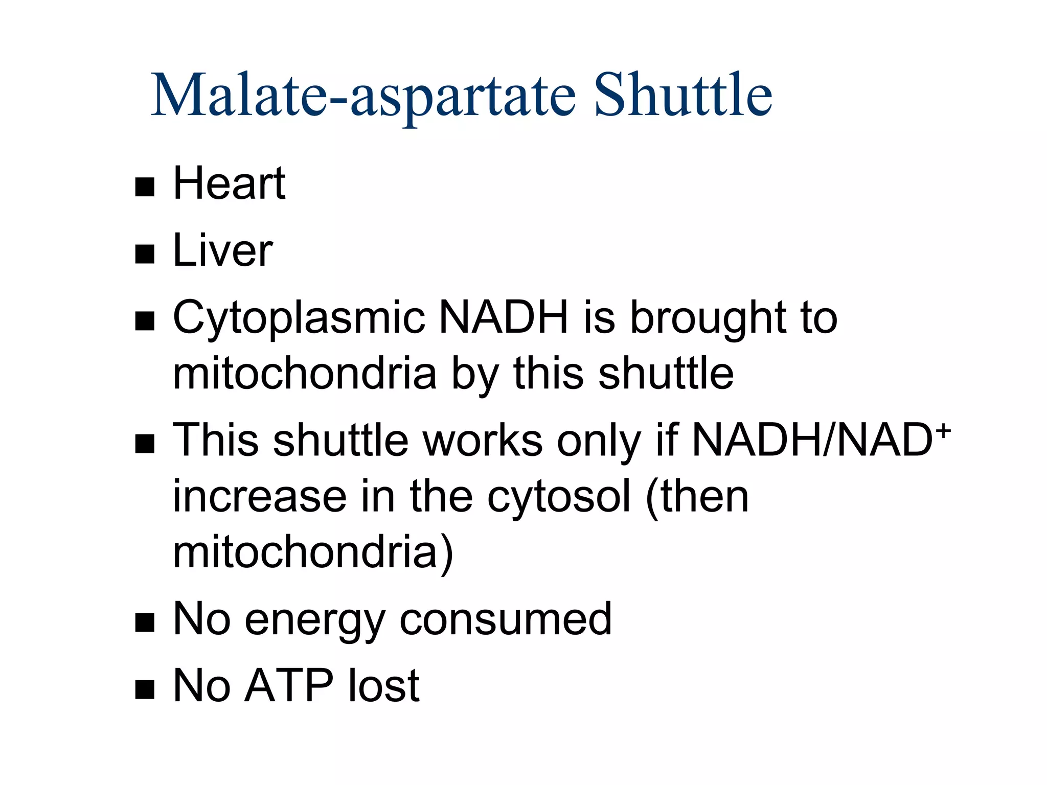 Malate-aspartate Shuttle
   Heart
   Liver
   Cytoplasmic NADH is brought to
    mitochondria by this shuttle
   This shuttle works only if NADH/NAD+
    increase in the cytosol (then
    mitochondria)
   No energy consumed
   No ATP lost
 