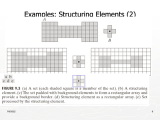 Lec07-CH9-MORPHOL [Recovered].ppt