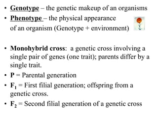• Genotype – the genetic makeup of an organisms
• Phenotype – the physical appearance
of an organism (Genotype + environment)
• Monohybrid cross: a genetic cross involving a
single pair of genes (one trait); parents differ by a
single trait.
• P = Parental generation
• F1 = First filial generation; offspring from a
genetic cross.
• F2 = Second filial generation of a genetic cross
 