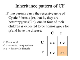 Inheritance pattern of CF
IF two parents carry the recessive gene of
Cystic Fibrosis (c), that is, they are
heterozygous (C c), one in four of their
children is expected to be homozygous for
cf and have the disease:
C C C c
C c c c
C c
C
c
C C = normal
C c = carrier, no symptoms
c c = has cystic fibrosis
 