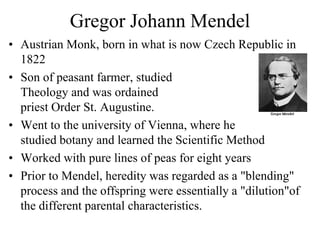 Gregor Johann Mendel
• Austrian Monk, born in what is now Czech Republic in
1822
• Son of peasant farmer, studied
Theology and was ordained
priest Order St. Augustine.
• Went to the university of Vienna, where he
studied botany and learned the Scientific Method
• Worked with pure lines of peas for eight years
• Prior to Mendel, heredity was regarded as a "blending"
process and the offspring were essentially a "dilution"of
the different parental characteristics.
 