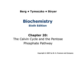 Berg • Tymoczko • Stryer



      Biochemistry
         Sixth Edition


          Chapter 20:
The Calvin Cycle and the Pentose
      Phosphate Pathway


               Copyright © 2007 by W. H. Freeman and Company
 