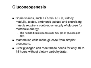 Gluconeogenesis

   Some tissues, such as brain, RBCs, kidney
    medulla, testes, embrionic tissues and exercising
    muscle require a continuous supply of glucose for
    metabolic energy.
    – The human brain requires over 120 gm of glucose per
      day.
   Mammalian cells make glucose from simpler
    precursors.
   Liver glycogen can meet these needs for only 10 to
    18 hours without dietary carbohydrate.
 