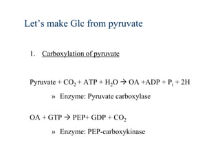 Let’s make Glc from pyruvate

 1. Carboxylation of pyruvate


 Pyruvate + CO2 + ATP + H2O  OA +ADP + Pi + 2H
       » Enzyme: Pyruvate carboxylase

 OA + GTP  PEP+ GDP + CO2
       » Enzyme: PEP-carboxykinase
 